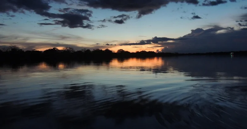 Les guérisseurs : médecine et spiritualité en Amazonie